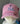Little Compton RI Kids Baseball Cap - Heart Anchor on Light Pink